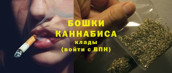 гидра Новодвинск