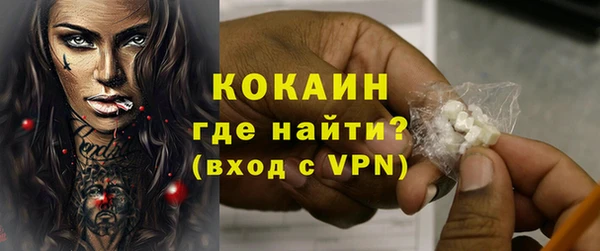 гидра Новодвинск