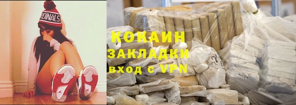 гидра Новодвинск