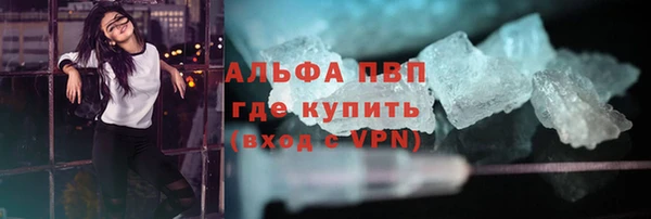 гидра Новодвинск