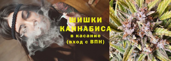гидра Новодвинск