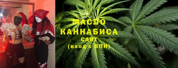 гидра Новодвинск